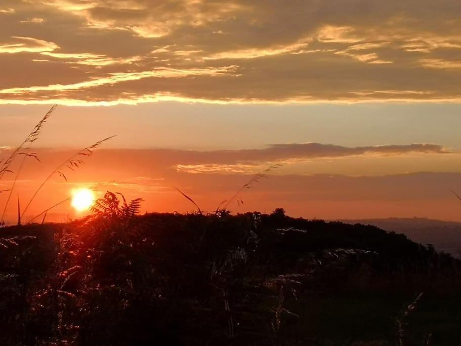 Converted Cattle Barn Overlooking Strangford Lough Newtownards Ngoại thất bức ảnh